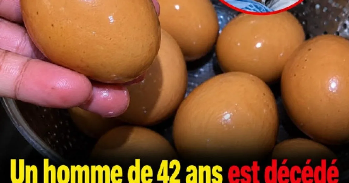 Manger des œufs chaque jour : les conseils santé que les professionnels partagent vraiment
